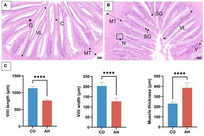 Integrated transcriptome and 16S rDNA analyses reveal that acute heat stress induces intestinal damage in Gymnocypris eckloni